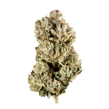 GG4 cannabis flower