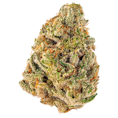 Holy Gelato cannabis flower