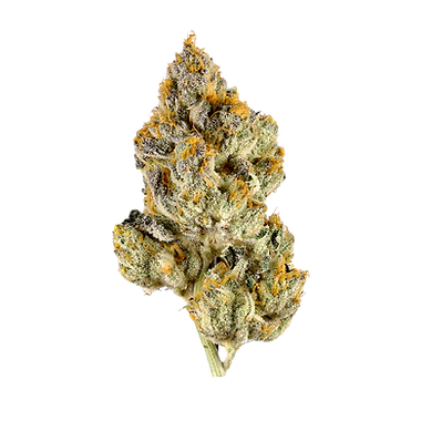 Lemon Cherry Gelato cannabis flower