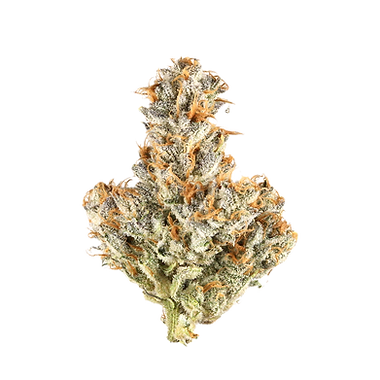 Rain Maker cannabis flower