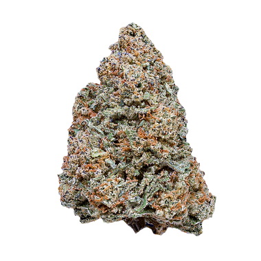 White Truffle cannabis flower